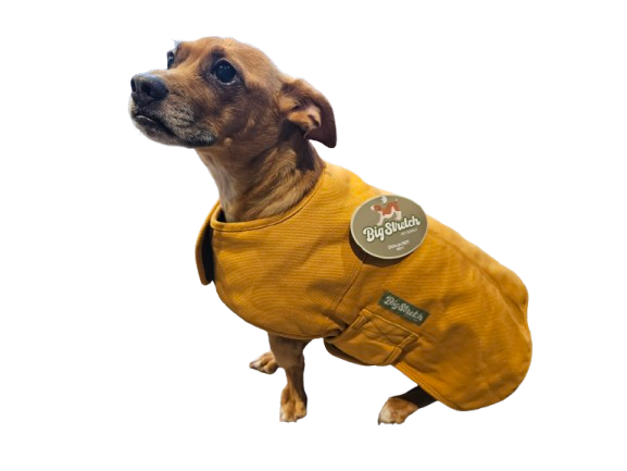 Load image into Gallery viewer, Big Stretch Pet Supply Cotton Dog Jacket
