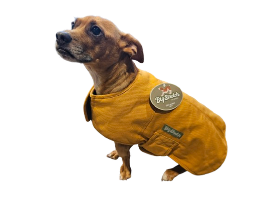 Big Stretch Pet Supply Cotton Dog Jacket